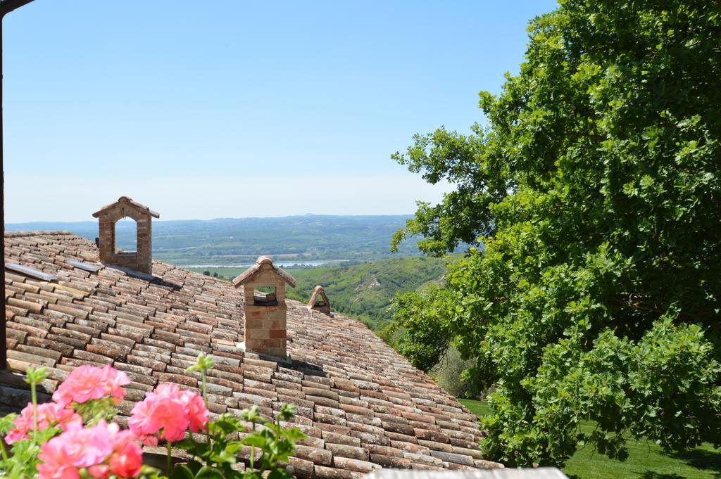 Luxury Villa Colle Dell'Asinello ,Proprietari ,Villa In Esclusiva Near Orvieto Guardea Eksteriør bilde
