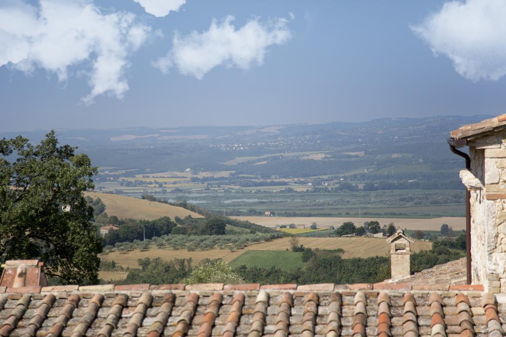 Luxury Villa Colle Dell'Asinello ,Proprietari ,Villa In Esclusiva Near Orvieto Guardea Eksteriør bilde